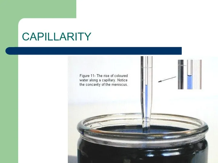 CAPILLARITY