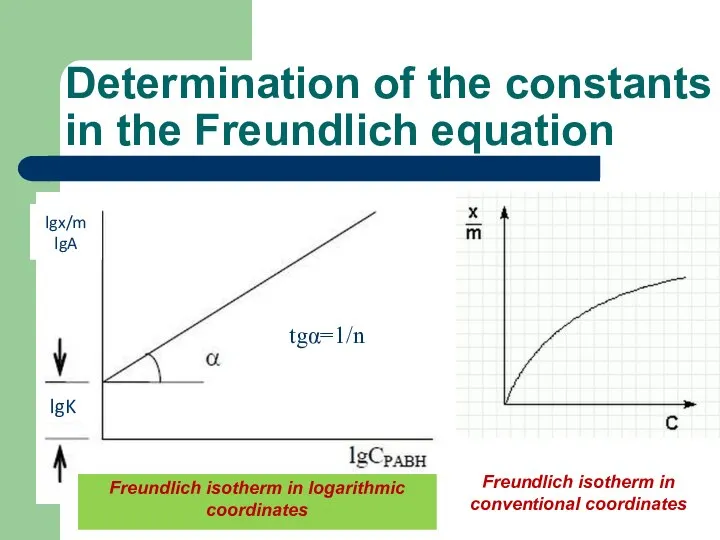 Determination of the constants in the Freundlich equation lg A =