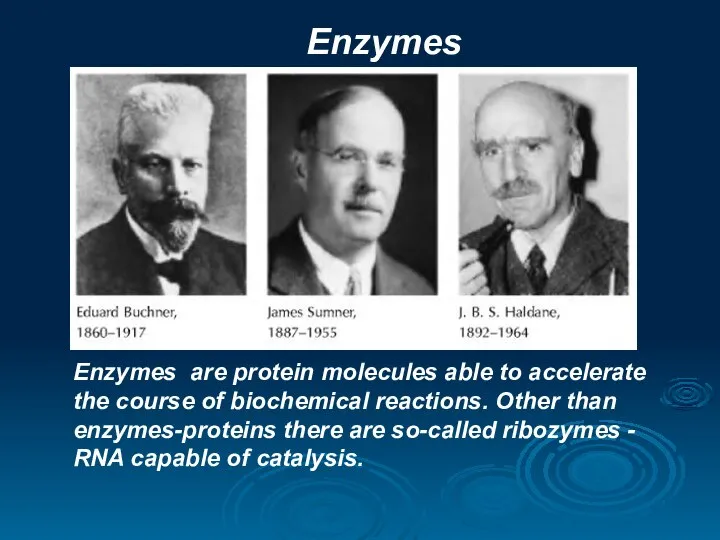 Enzymes Enzymes are protein molecules able to accelerate the course of