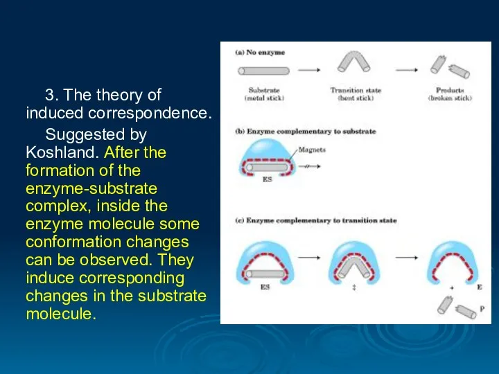 3. The theory of induced correspondence. Suggested by Koshland. After the