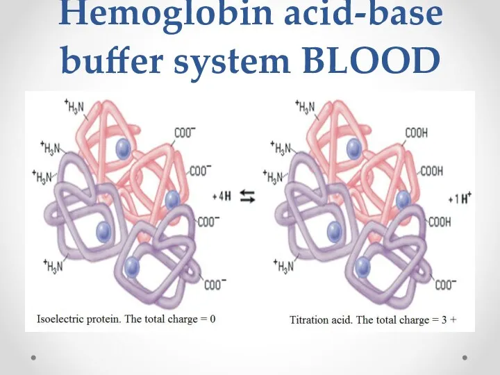 Hemoglobin acid-base buffer system BLOOD