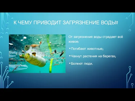 К ЧЕМУ ПРИВОДИТ ЗАГРЯЗНЕНИЕ ВОДЫ? От загрязнения воды страдает всё живое: