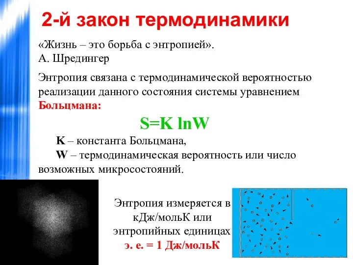 «Жизнь – это борьба с энтропией». А. Шредингер Энтропия связана с