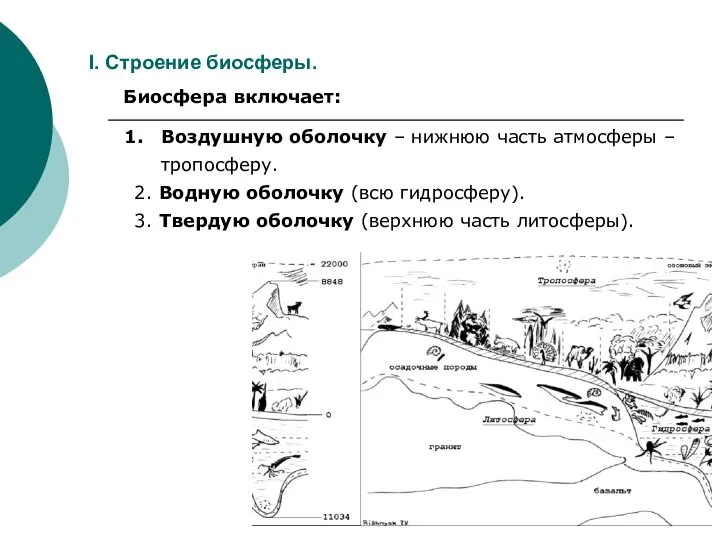 I. Строение биосферы. Биосфера включает: Воздушную оболочку – нижнюю часть атмосферы