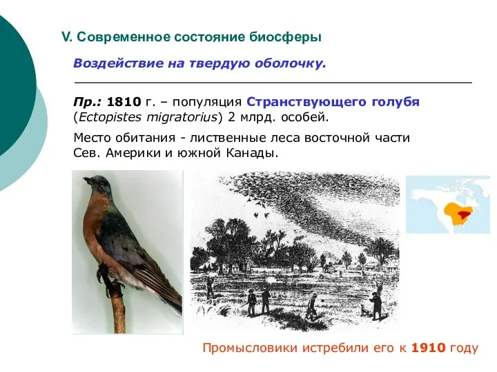 V. Современное состояние биосферы Воздействие на твердую оболочку. Пр.: 1810 г.