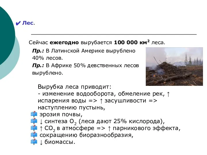 Лес. Сейчас ежегодно вырубается 100 000 км2 леса. Пр.: В Латинской