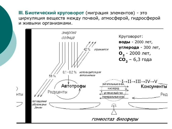 III. Биотический круговорот (миграция элементов) - это циркуляция веществ между почвой,