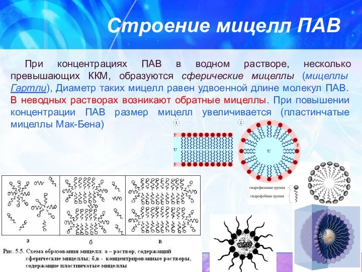 Строение мицелл ПАВ При концентрациях ПАВ в водном растворе, несколько превышающих