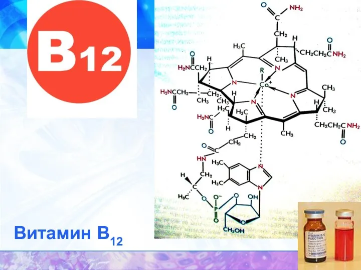 Витамин В12