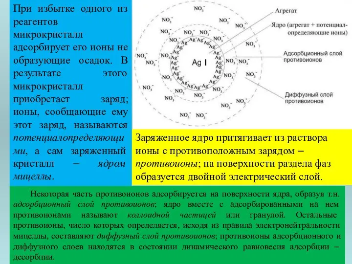 Некоторая часть противоионов адсорбируется на поверхности ядра, образуя т.н. адсорбционный слой