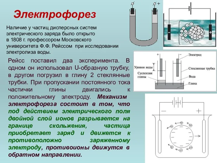 Электрофорез Наличие у частиц дисперсных систем электрического заряда было открыто в