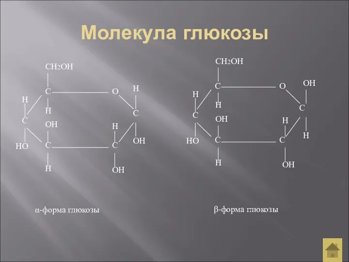 Молекула глюкозы α-форма глюкозы СН2ОН Н Н Н Н ОН НО Н ОН ОН β-форма глюкозы