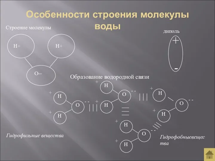 Особенности строения молекулы воды Гидрофильные вещества Гидрофобныевещества