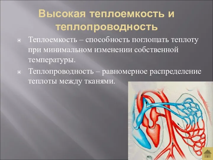 Высокая теплоемкость и теплопроводность Теплоемкость – способность поглощать теплоту при минимальном