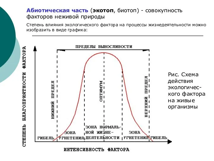 Абиотическая часть (экотоп, биотоп) - совокупность факторов неживой природы Степень влияния