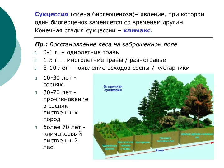 Сукцессия (смена 6иогеоценоза)– явление, при котором один биогеоценоз заменяется со временем