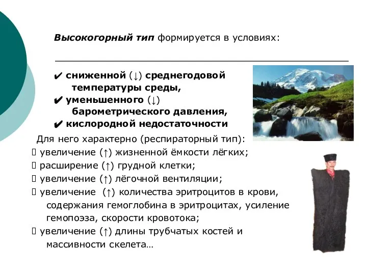 Высокогорный тип формируется в условиях: сниженной (↓) среднегодовой температуры среды, уменьшенного