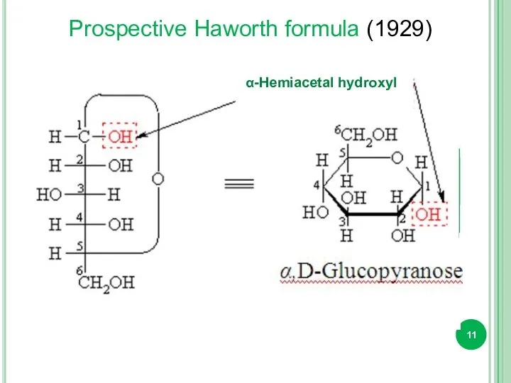 α-Hemiacetal hydroxyl Prospective Haworth formula (1929)