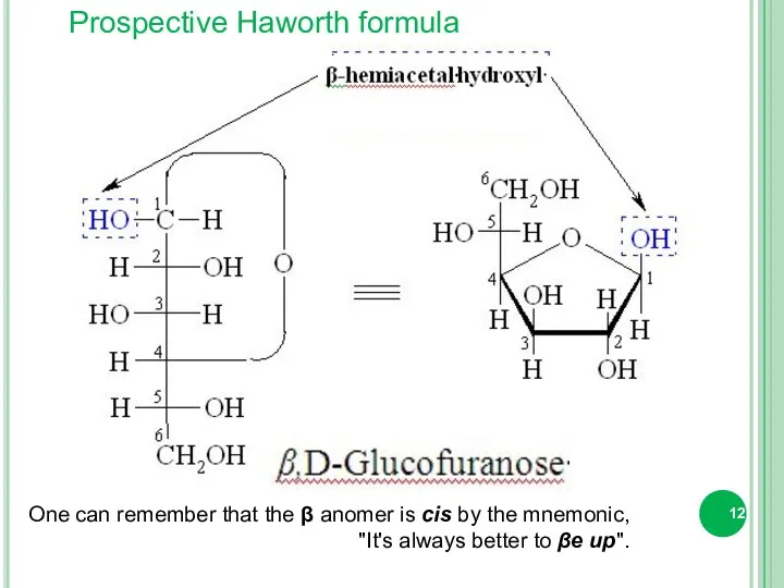 Prospective Haworth formula One can remember that the β anomer is