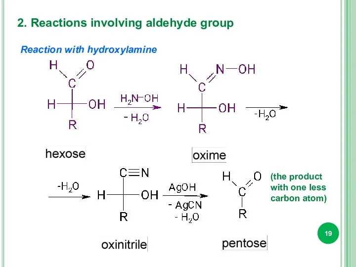 2. Reactions involving aldehyde group Reaction with hydroxylamine (the product with one less carbon atom)