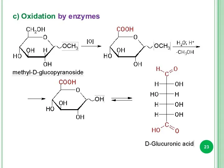 c) Oxidation by enzymes