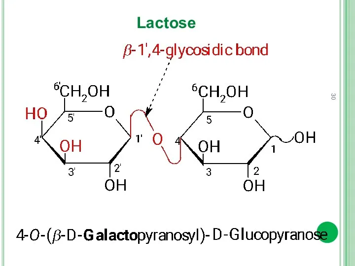 Lactose