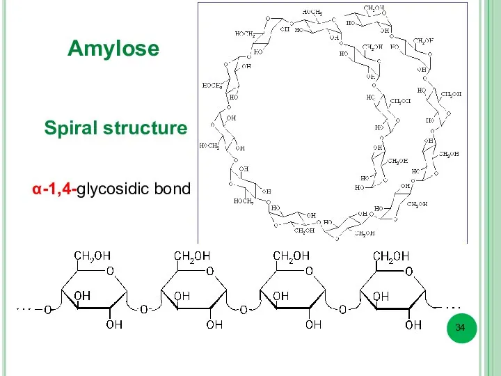 Amylose α-1,4-glycosidic bond Spiral structure