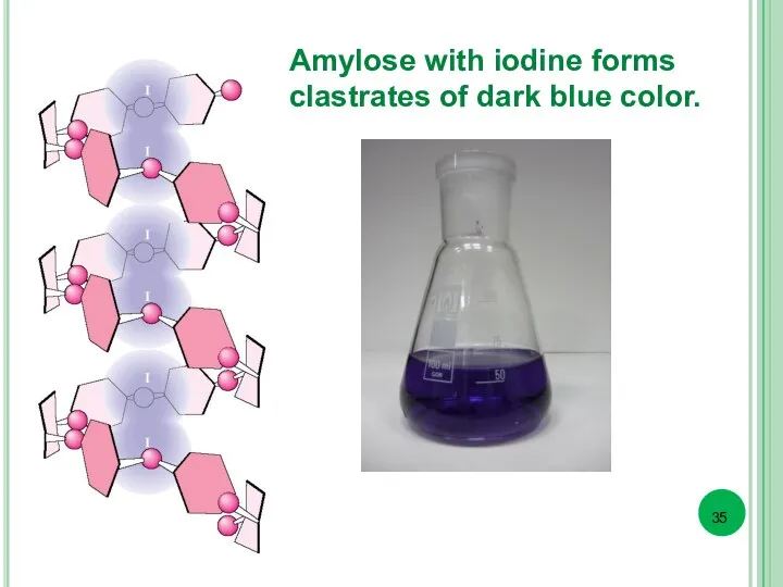 Amylose with iodine forms clastrates of dark blue color.