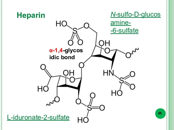 Heparin L-iduronate-2-sulfate N-sulfo-D-glucosamine- -6-sulfate α-1,4-glycosidic bond