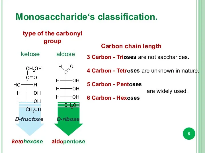 Monosaccharide‘s classification. type of the carbonyl group Carbon chain length 3
