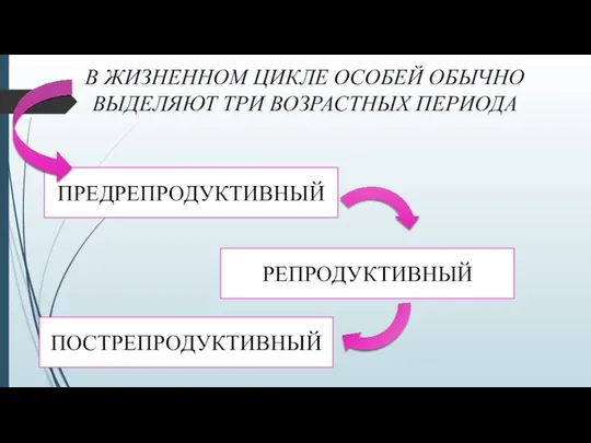 В ЖИЗНЕННОМ ЦИКЛЕ ОСОБЕЙ ОБЫЧНО ВЫДЕЛЯЮТ ТРИ ВОЗРАСТНЫХ ПЕРИОДА ПРЕДРЕПРОДУКТИВНЫЙ РЕПРОДУКТИВНЫЙ ПОСТРЕПРОДУКТИВНЫЙ