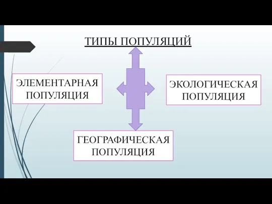 ТИПЫ ПОПУЛЯЦИЙ ЭЛЕМЕНТАРНАЯ ПОПУЛЯЦИЯ ГЕОГРАФИЧЕСКАЯ ПОПУЛЯЦИЯ ЭКОЛОГИЧЕСКАЯ ПОПУЛЯЦИЯ