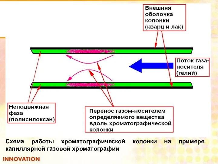 Схема работы хроматографической колонки на примере капиллярной газовой хроматографии