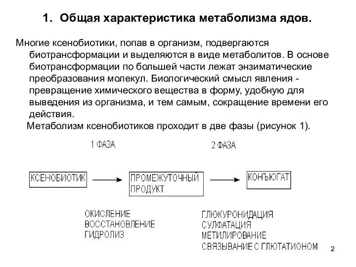 Общая характеристика метаболизма ядов. Многие ксенобиотики, попав в организм, подвергаются биотрансформации