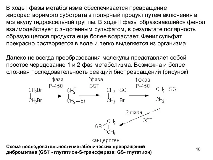 В ходе l фазы метаболизма обеспечивается превращение жирорастворимого субстрата в полярный