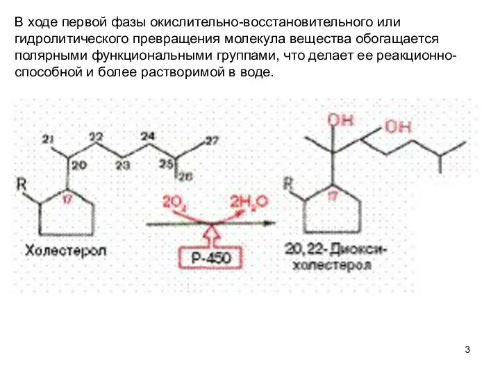 В ходе первой фазы окислительно-восстановительного или гидролитического превращения молекула вещества обогащается