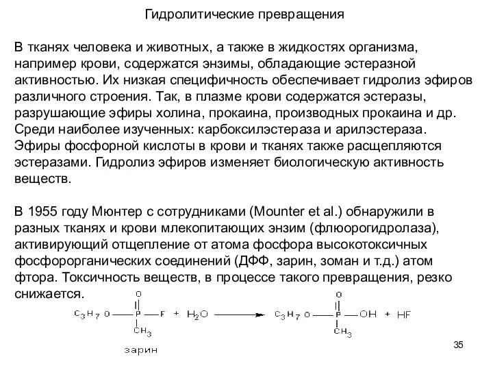 Гидролитические превращения В тканях человека и животных, а также в жидкостях