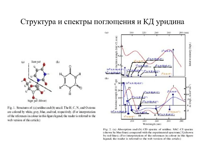 Структура и спектры поглощения и КД уридина