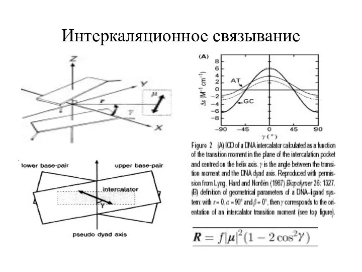 Интеркаляционное связывание