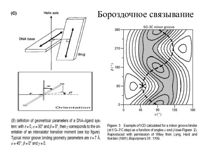 Бороздочное связывание