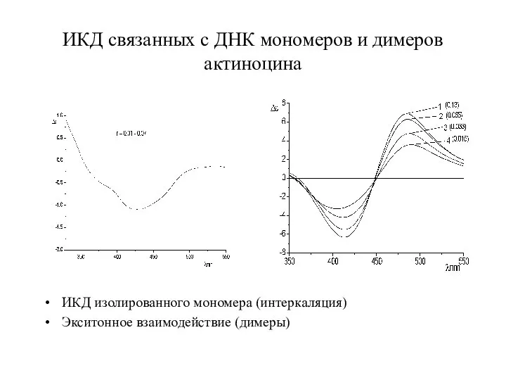 ИКД связанных с ДНК мономеров и димеров актиноцина ИКД изолированного мономера (интеркаляция) Экситонное взаимодействие (димеры)