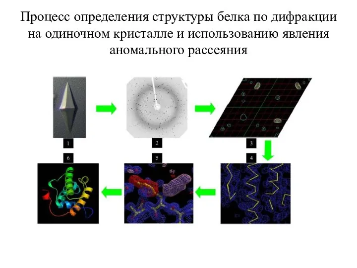 Процесс определения структуры белка по дифракции на одиночном кристалле и использованию явления аномального рассеяния