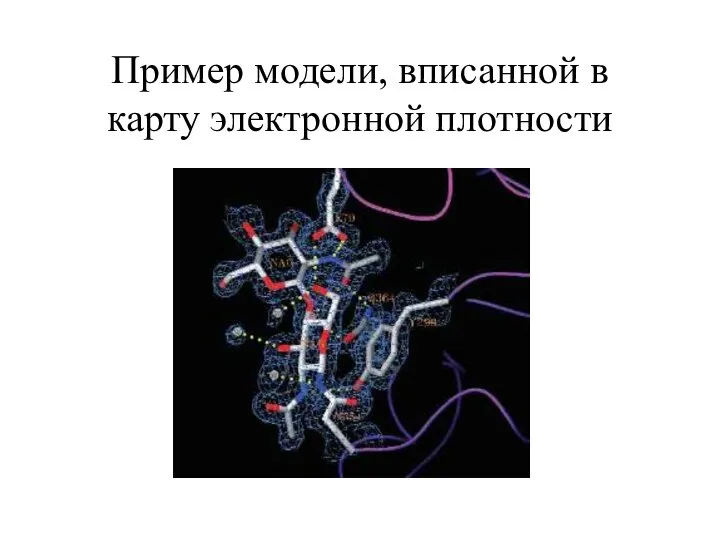 Пример модели, вписанной в карту электронной плотности