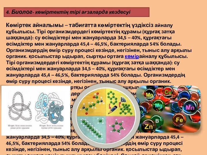 4. Биолог- көміртектің тірі ағзаларда кездесуі Көміртек айналымы – табиғатта көміртектің