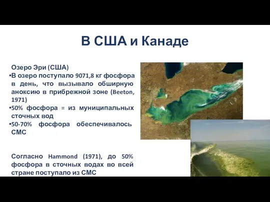 В США и Канаде Озеро Эри (США) В озеро поступало 9071,8