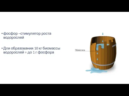 фосфор –стимулятор роста водорослей Для образования 10 кг биомассы водорослей = до 1 г фосфора