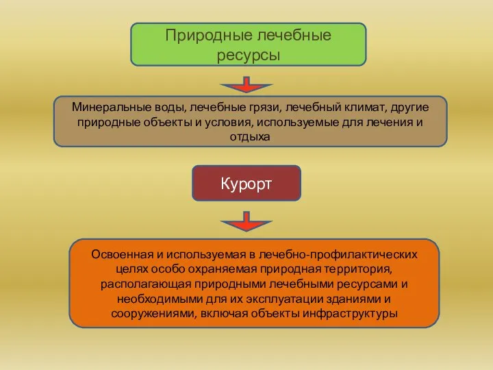 Природные лечебные ресурсы Минеральные воды, лечебные грязи, лечебный климат, другие природные