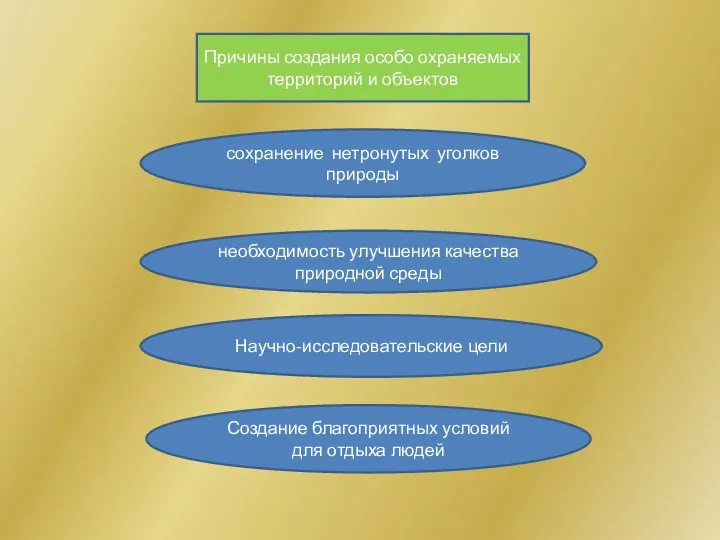 Причины создания особо охраняемых территорий и объектов сохранение нетронутых уголков природы