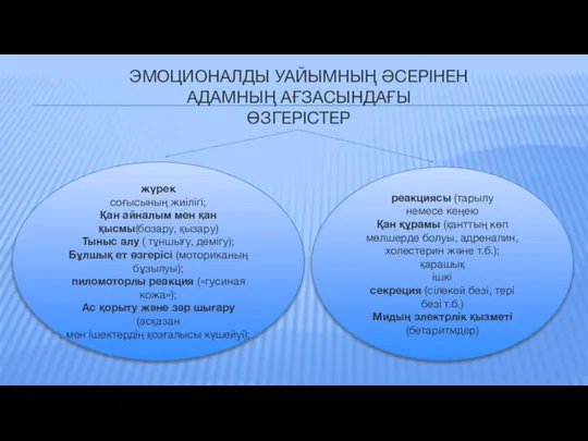 ЭМОЦИОНАЛДЫ УАЙЫМНЫҢ ӘСЕРІНЕН АДАМНЫҢ АҒЗАСЫНДАҒЫ ӨЗГЕРІСТЕР жүрек соғысының жиілігі; Қан айналым