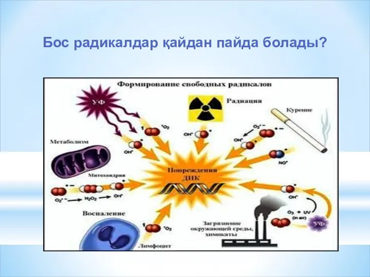 Бос радикалдар қайдан пайда болады?